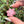 Load image into Gallery viewer, Mini Spinner Flower Pendant Pastel Pinks