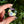 Load image into Gallery viewer, Moonflora Spinner Pendant - Royal Jelly