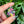 Load image into Gallery viewer, Moonflora Spinner Pendant - Telemagenta