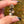 Load image into Gallery viewer, Small Electrum Moon Spinner w/ Clouds