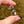 Load image into Gallery viewer, Small Electrum Moon Spinner w/ Clouds