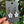 Load image into Gallery viewer, White Flower Opal Earrings