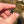 Load image into Gallery viewer, Tiny Electrum Flower Charm #2