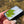 Load image into Gallery viewer, Sparkly Canna Leaf Green
