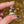 Load and play video in Gallery viewer, Small Electrum Moon Spinner w/ Clouds