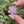 Load and play video in Gallery viewer, Mini Spinner Flower Pendant Mauve Purple