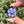 Load image into Gallery viewer, Mini Spinner Flower Pendant Hyacinth
