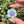 Load image into Gallery viewer, Mini Spinner Flower Pendant Blue Mint
