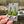Load image into Gallery viewer, Canna Leaf &amp; Heart Earrings Green
