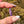 Load image into Gallery viewer, Mini Canna Leaf Pendant Purple
