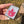 Load image into Gallery viewer, Sparkly Canna Leaf Telemagenta
