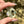 Load image into Gallery viewer, Sparkle Moon Spinner All CFL Reactive
