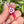 Load image into Gallery viewer, Flower Blade Pendant Telemagenta
