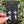 Load image into Gallery viewer, Flower &amp; Crystal Point Earrings Rose Quartz
