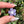 Load image into Gallery viewer, Pastel Rainbow Dichro Flower Purple Satin
