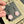 Load image into Gallery viewer, Cherry Blossom Earrings
