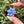 Load image into Gallery viewer, Mini Spinner Flower Pendant Periwinkle Purple
