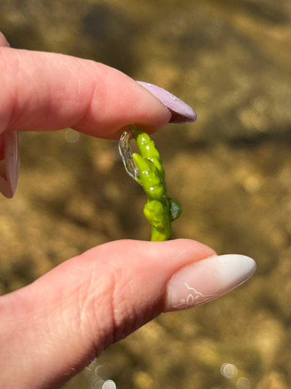 Mini Canna Leaf Pendant Green