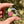 Load image into Gallery viewer, Sparkle Moon Spinner Purple &amp; Pink (CFL leaves)
