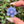 Load image into Gallery viewer, Mini Spinner Flower Pendant Periwinkle Purple
