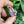 Load image into Gallery viewer, Moonflora Spinner Pendant - Telemagenta
