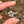 Load image into Gallery viewer, Electrum Moonflora Spinner Pendant
