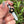 Load image into Gallery viewer, Flower Blade Pendant Black &amp; Gray Longsword
