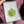 Load image into Gallery viewer, Sparkly Canna Leaf Green
