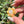 Load image into Gallery viewer, Mini Spinner Flower Pendant Serendipity CFL
