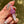 Load image into Gallery viewer, Flower Blade Pendant Pink &amp; Purple
