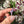 Load image into Gallery viewer, Opal &amp; Luster Flower Pendant Purpler
