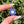 Load image into Gallery viewer, Pastel Rainbow Dichro Flower Pendant Periwinkle

