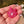 Load image into Gallery viewer, Sparkly Canna Leaf Telemagenta

