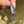 Load image into Gallery viewer, Flower Blade Pendant Dark Purple
