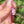 Load image into Gallery viewer, Flower Blade Pendant Telemagenta
