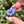 Load image into Gallery viewer, Mini Spinner Flower Pendant Hyacinth
