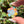 Load image into Gallery viewer, Mini Spinner Flower Pendant Pastel Rainbow

