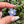Load image into Gallery viewer, Pastel Rainbow Dichro Flower Light Periwinkle
