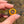 Load image into Gallery viewer, Sunflower Glass Pendants 2025

