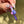Load image into Gallery viewer, Flower Blade Pendant Dark Purple
