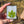 Load image into Gallery viewer, Sparkly Canna Leaf Green
