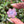 Load image into Gallery viewer, Mini Spinner Flower Pendant Mauve Purple
