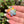 Load image into Gallery viewer, Mini Spinner Flower Pendant Pastel Rainbow
