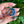 Load image into Gallery viewer, Moonflora Spinner Pendant - Blue Stardust
