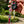 Load image into Gallery viewer, Floral Sword Glitter Keychain
