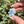 Load image into Gallery viewer, Mini Spinner Flower Pendant Blue Mint
