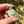 Load image into Gallery viewer, Sparkle Moon Spinner All CFL Reactive
