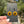 Load image into Gallery viewer, Sunflower Earrings #3
