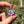 Load image into Gallery viewer, Moon Spinner Pink &amp; Purple
