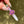 Load image into Gallery viewer, Flower Blade Pendant Pink &amp; Purple
